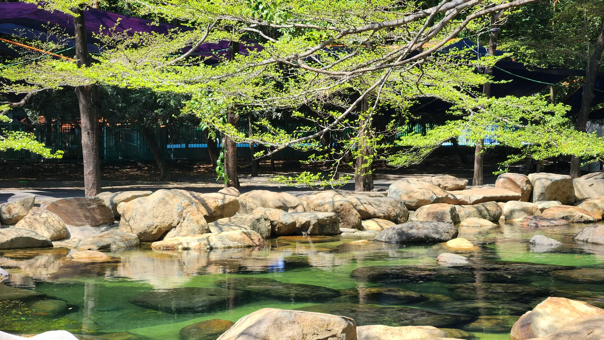 An Nhiên Dưỡng Sinh